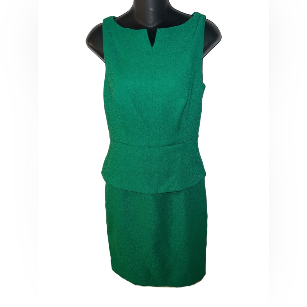 The Limited Ladies Dress